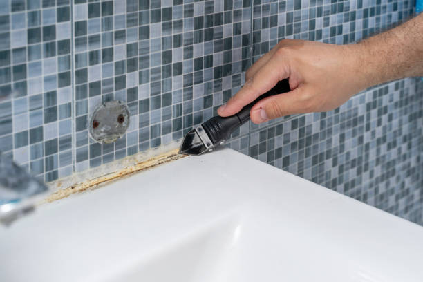 Best Post-Remediation Services in Roessleville, NY