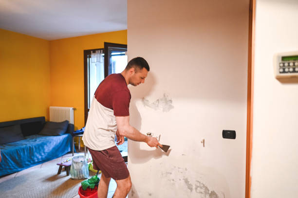 Best Mold Testing and Inspection Services in Roessleville, NY